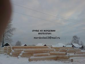 срубы на заказ
