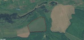 Продажа поляны в лесу 10 га на берегу озера