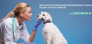 Ветеринарная клиника Ветеринарный Питер