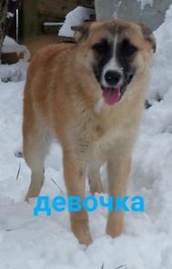 ОБНИНСК!!КАЛУЖСКАЯ ОБЛАСТЬ!!