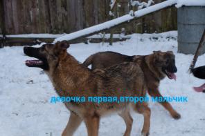 ОБНИНСК!!КАЛУЖСКАЯ ОБЛАСТЬ!!