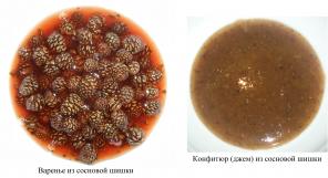 Варенье, конфитюр (джем) из сосновой шишки