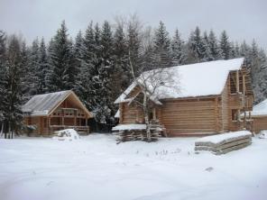 Продается эксклюзивный дом из бревна ручной рубки( до 50 см в диам) в хвойном лесу.