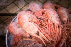 дикая рыба и морепродукты с Охотского моря