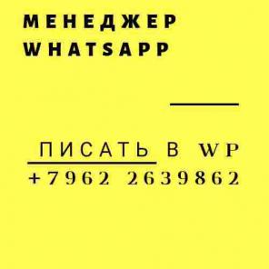  WhatsApp  ()
