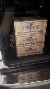 Астраханская Вобла и щучья икра