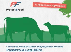 Комбикормовый завод предлагает сотрудничетво партнерам