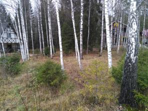 Участок 15 соток (ИЖС)