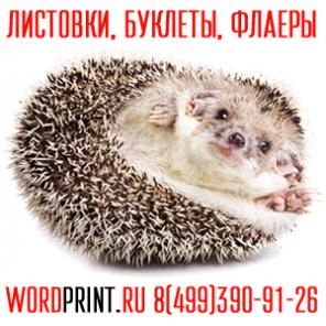 Визитки недорого