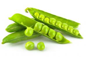 Семена гороха Ла-Манш, Софья, Фокор, Аксайский усатый 7