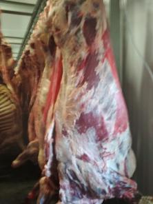 Продам мясо коров 1 кат охлажденка