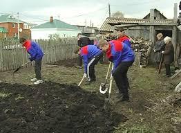 ЗЕМЛЯНЫЕ РАБОТЫ. ПОМОЩЬ В ОГОРОДЕ.