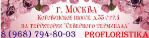Горячая перфорация пленки от производителя