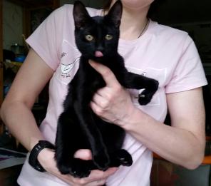 Особенный котенок ищеи свой дом