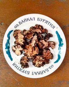 Лекарственные травы (дикоросы).