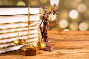 Адвокаты по арбитражным делам