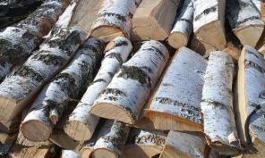 Дрова Берёзовые колотые 1700р