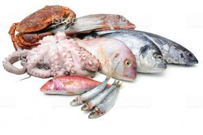 Оптовая продажа рыбы и морепродуктов
