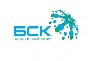 Покупаем акции АО "БСК"