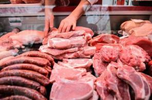 ООО ПТК "ВЕГА" мясо и мясные продукты