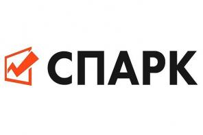 Проверка контрагента через "СПАРК"