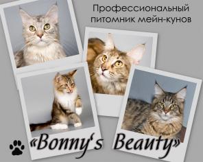 Питомник МЕЙН-КУНОВ "Bonny"s Beauty"