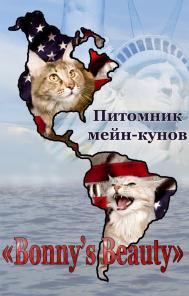 Питомник МЕЙН-КУНОВ "Bonny"s Beauty"