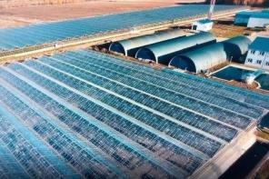 Продается тепличное хозяйство в Калужской области