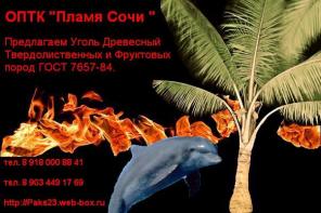 УГОЛЬ ДРЕВЕСНЫЙ для всей России