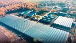 Продается аграрный комплекс с теплицами в 63 км от Москвы