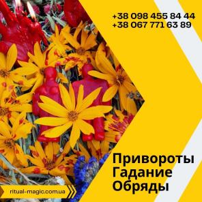 Защита, обряды, соединение влюблённых, снятие порчи, гадание на картах Таро.