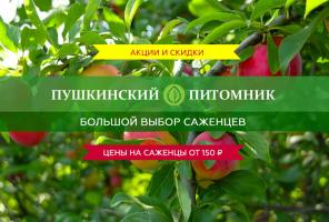 Осенняя распродажа в Пушкинском питомнике декоративных растений