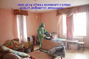 Уничтoжeниe клoпoв, тapaкaнoв хoлoдным тумaнoм. Орел.