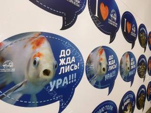 Качественная и недорогая наружная реклама компании «Сайн Систем»
