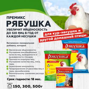 Премиксы Рябушка – залог высокой яйценоскости!