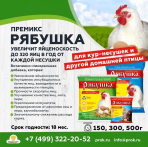 Премиксы Рябушка – залог высокой яйценоскости!