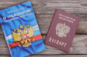 РВП ВНЖ Гражданство РФ для граждан СНГ