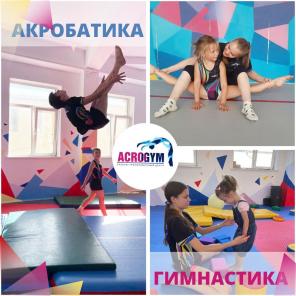 Учебно-тренировочный центр акробатики и гимнастики