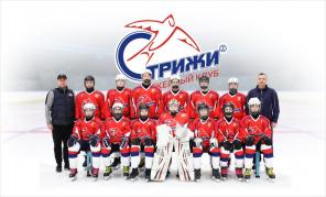 Орехово-Зуевский ХК "Стрижи" ищет вратаря 2008-2009 гр