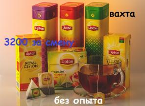 Работа упаковщик(ца) чая на склад вахтой Москву