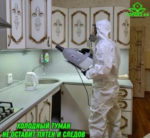 Уничтожение насекомых, грызунов, запахов, вирусов, плесени и др в Энгельсе