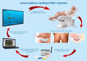 Бос терапия