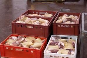 Производство говядины, свинины. Продажа мяса цб