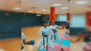 Спорт единоборства секция карате Ростов Зжм