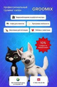Groomix груминг в Казани