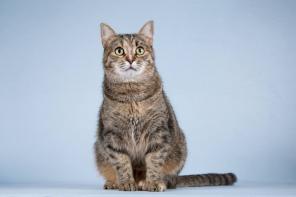 ������� ������ ����� ���� ������ � ���������� ������.