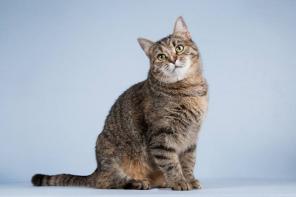 ������� ������ ����� ���� ������ � ���������� ������.