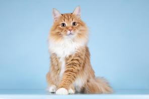 ��� ������ ������� �� ����� ������ ���� ����� ������ ����.