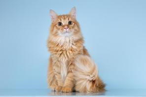 ��� ������ ��������� �� ����� ����� ���� ����� ������ ����.