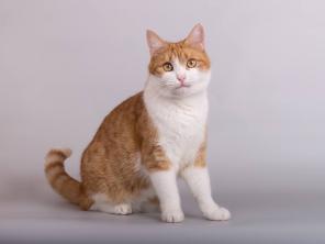 ������� ������ ���� ������ ������.